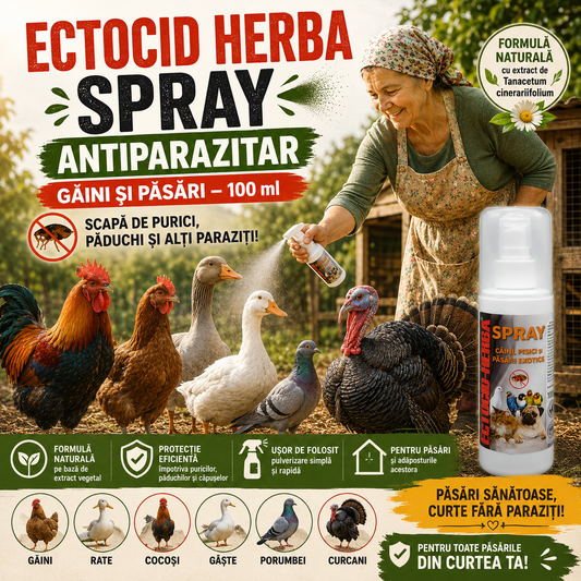 Ectocid Herba Spray Antiparazitar Gaini si Pasari 100 ml