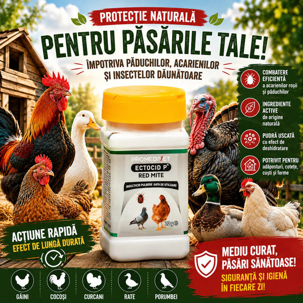 Pachet Protecție Păsări Adăpost